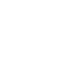 DeepSenseDev
